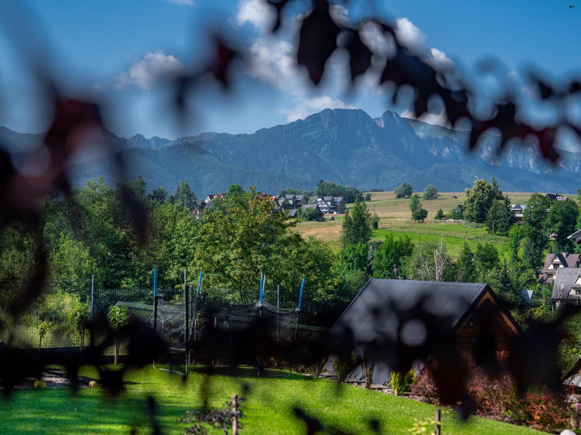 Zacisze Galicove Villa Zakopane Exterior foto